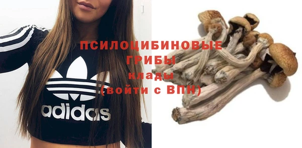 эйфоретик Арсеньев