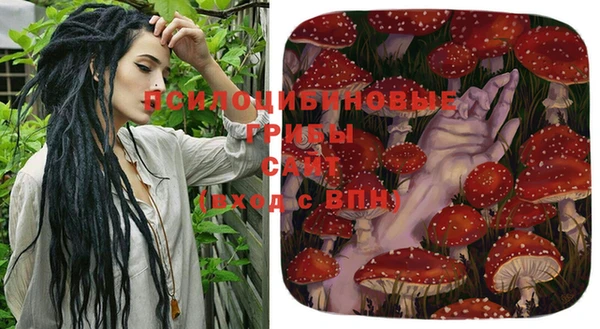 эйфоретик Арсеньев