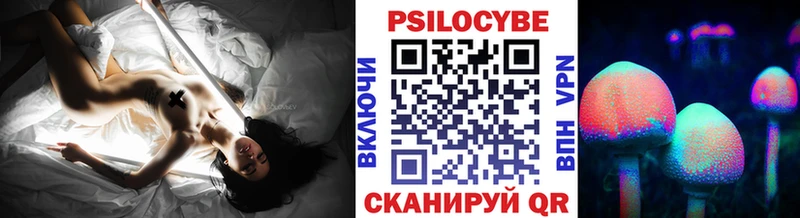 мега   Юрьев-Польский  Псилоцибиновые грибы прущие грибы 