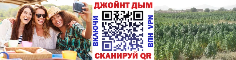 Конопля MAZAR Юрьев-Польский